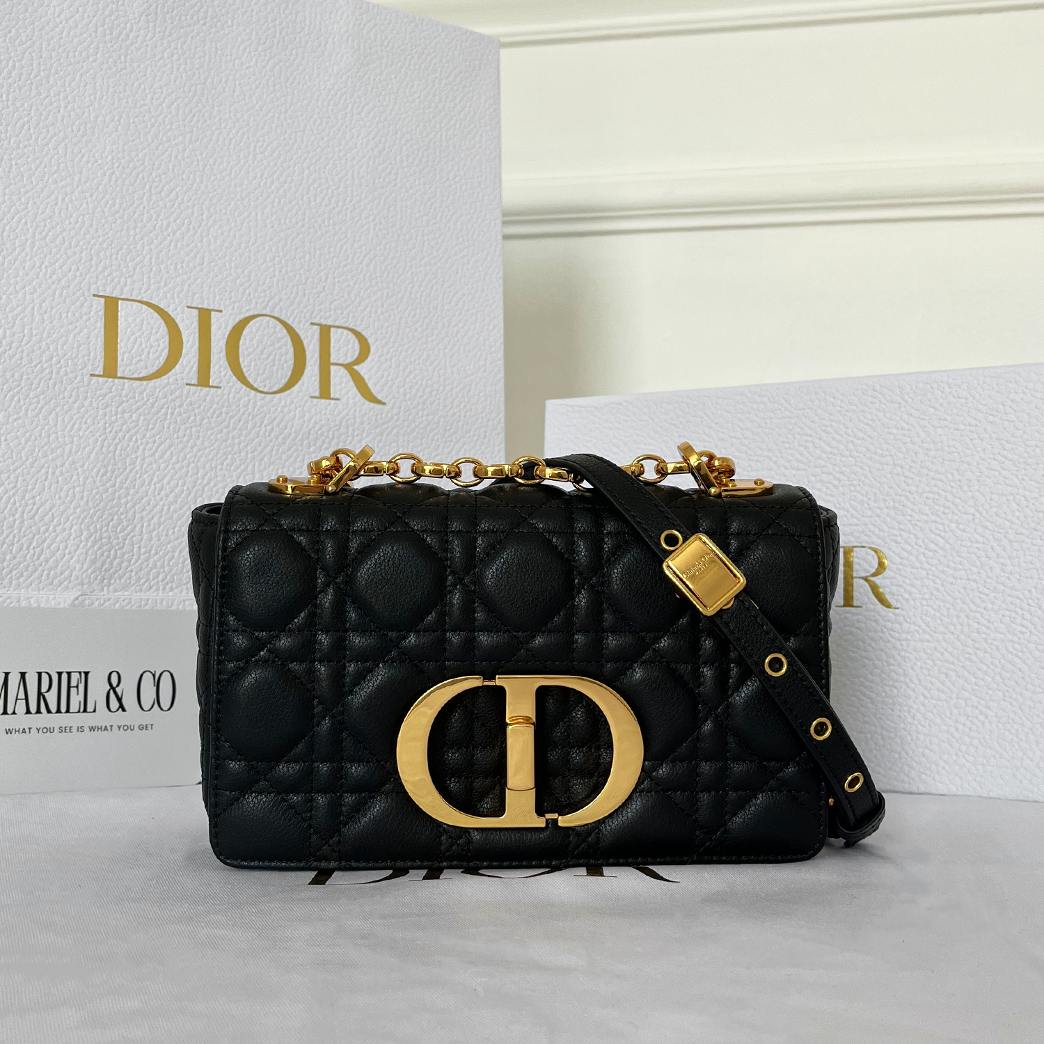 [CD] SMALL CARO BAG, CALFSKIN – BLACK SUPPLE CANNAGE